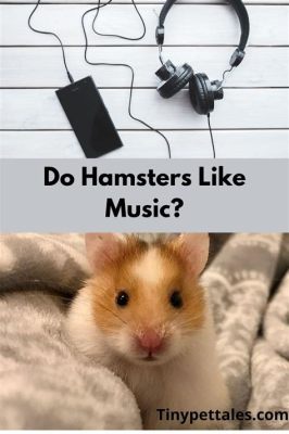 do hamsters like music that mimics their natural environment